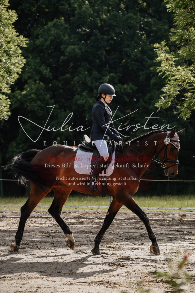 DSC_8593 | Pferde- und Turnierfotografie in Westsachsen. Pferdeportraits, Auftragszeichnungen und intuitive Kunst.