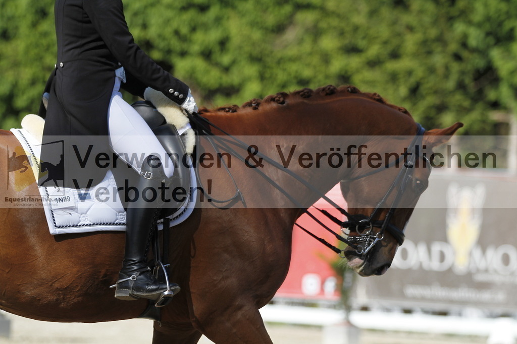 _MG_3099 | equestrian-live-com