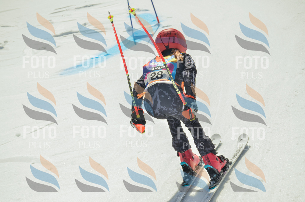 _ELE4852 | holidayphoto