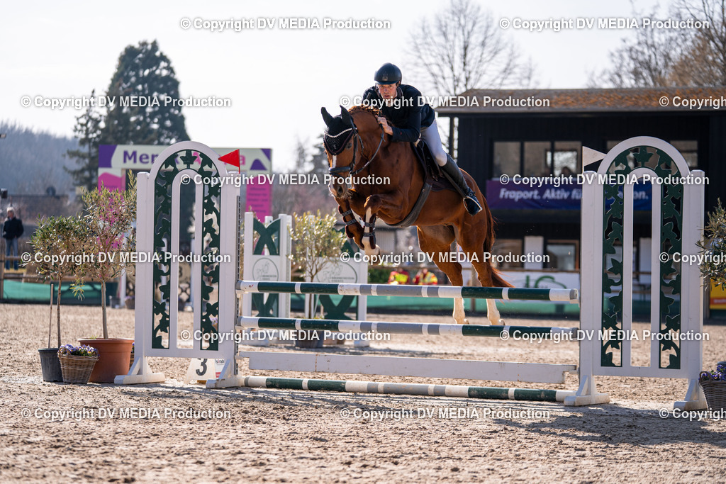 Kranichstein Tag 1-259 | dv-media-shop - Realisiert mit Pictrs.com