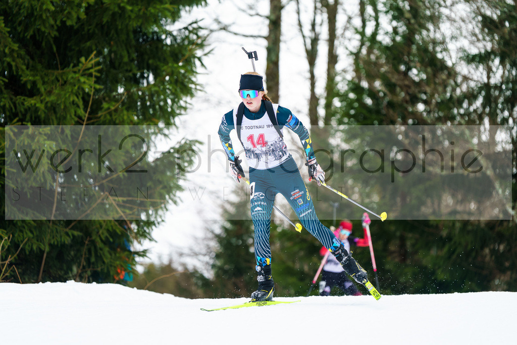 FESA Alpencup / DP Notschrei | Deutschland Pokal Finale im Schwarzwald NORDIC-CENTER Notschrei am 7. - 8. Februar 2026