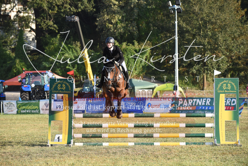 DSC_4837 | Pferde- und Turnierfotografie in Westsachsen. Pferdeportraits, Auftragszeichnungen und intuitive Kunst.