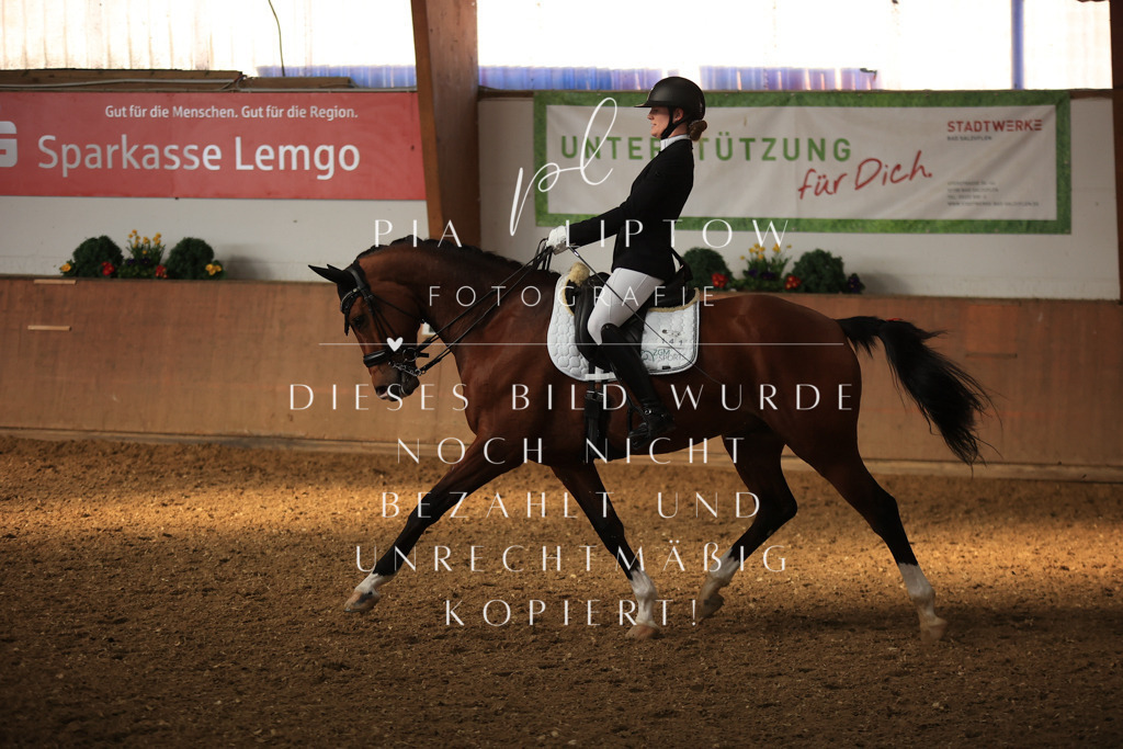 IMGT1499 | pl-fotografie