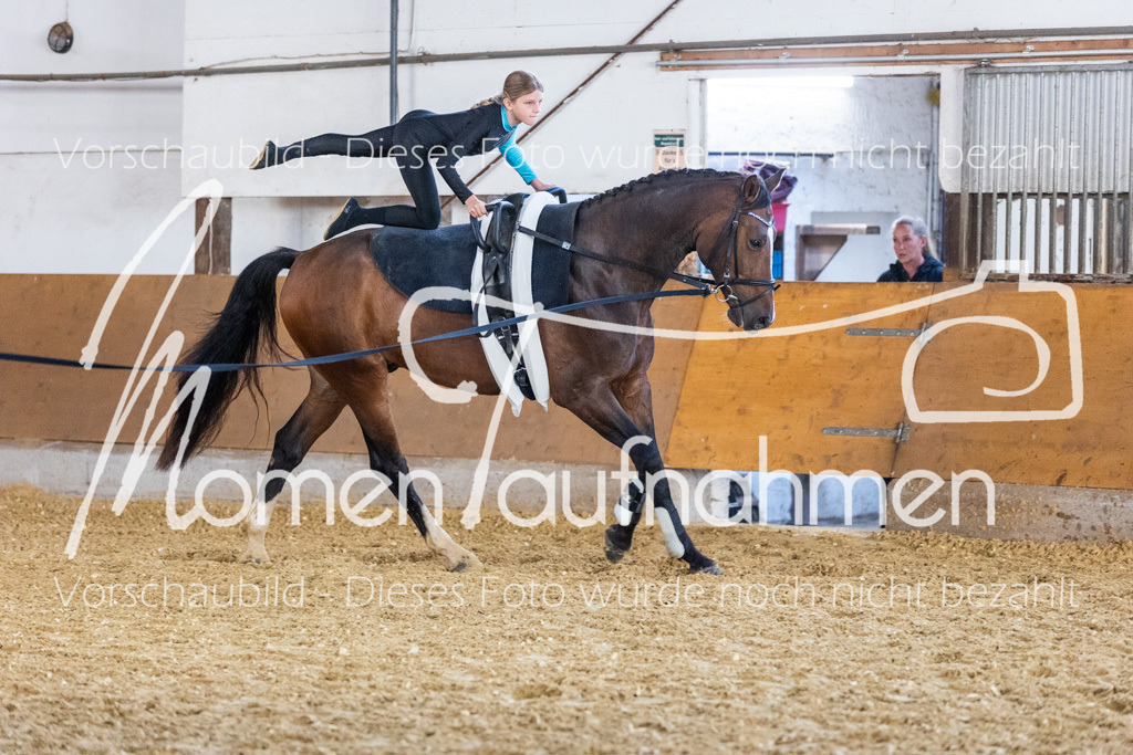 VTD-Voltigierpferde-069 | MomenTaufnahmen Pferdesportfotos