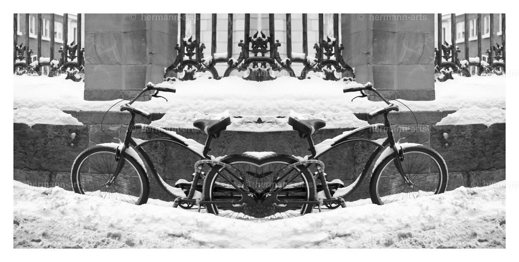 Hermann-Arts_Spiegelbilder_076 | Photo Foto Kunst Art schwarzweiss Bilder Rheine Münster Berlin Blumen 