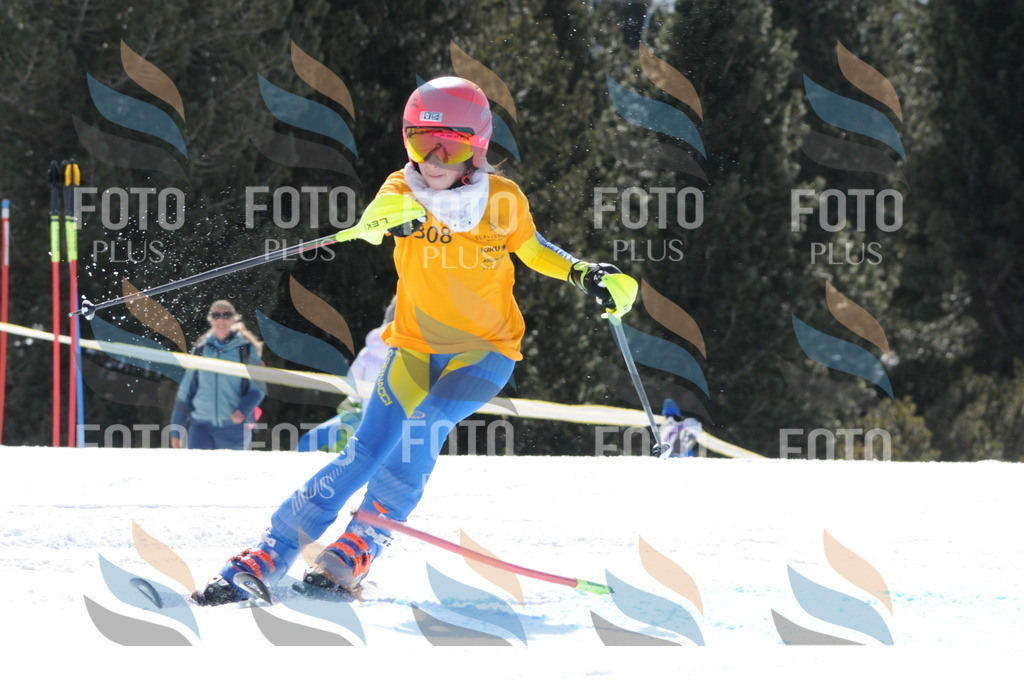 C9169 | holidayphoto