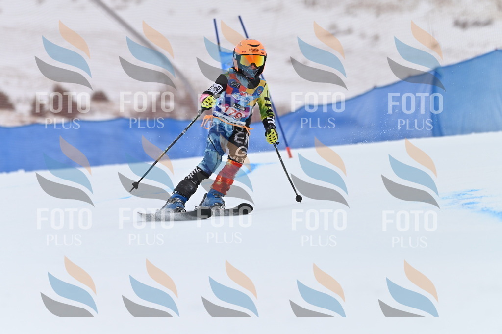 BGV_0981 | holidayphoto