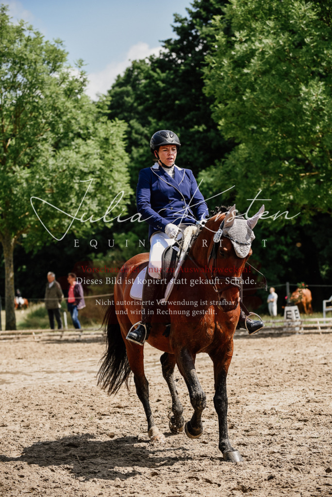 DSC_1223 | Pferde- und Turnierfotografie in Westsachsen. Pferdeportraits, Auftragszeichnungen und intuitive Kunst.