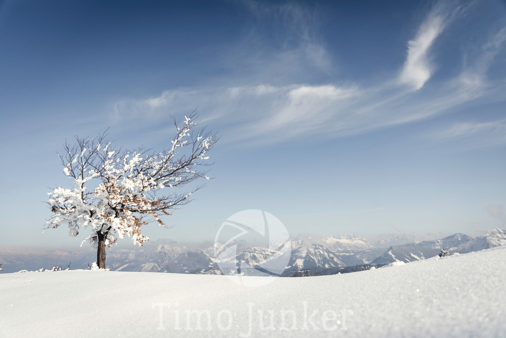 Shop_Landscapes-2064-2 | junker-foto - Realisiert mit Pictrs.com