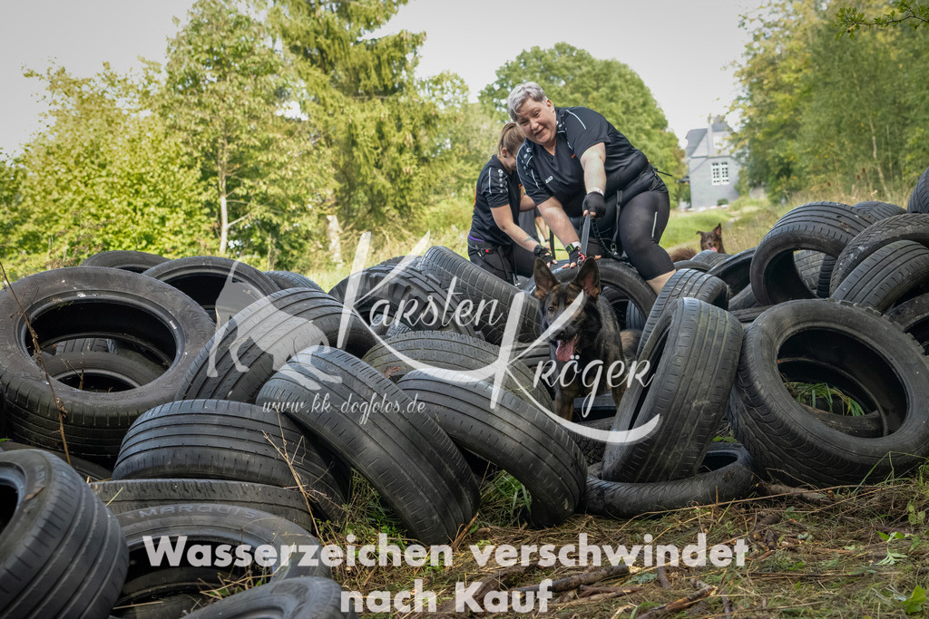 1504_ZZ91026-Bearbeitet | kk-dogfotos