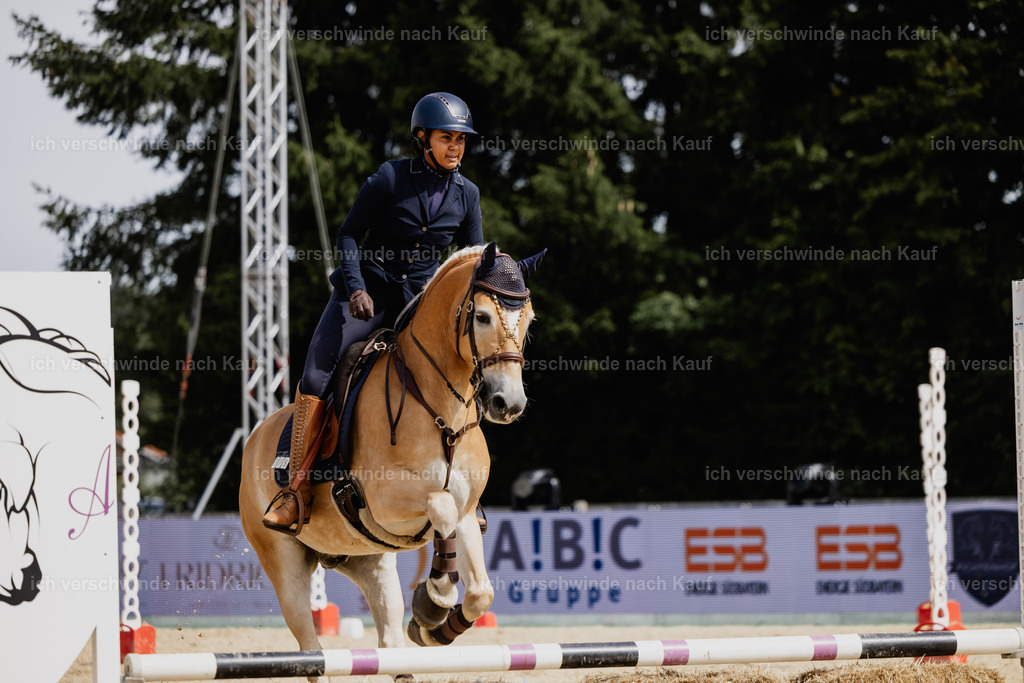 Tanesha5FHC2025-20106 | working equitationturnier fotograf videograf stoibphotography marixx film working equitation deutschland reitsport turnierfotografie eventfotografie equestrian events