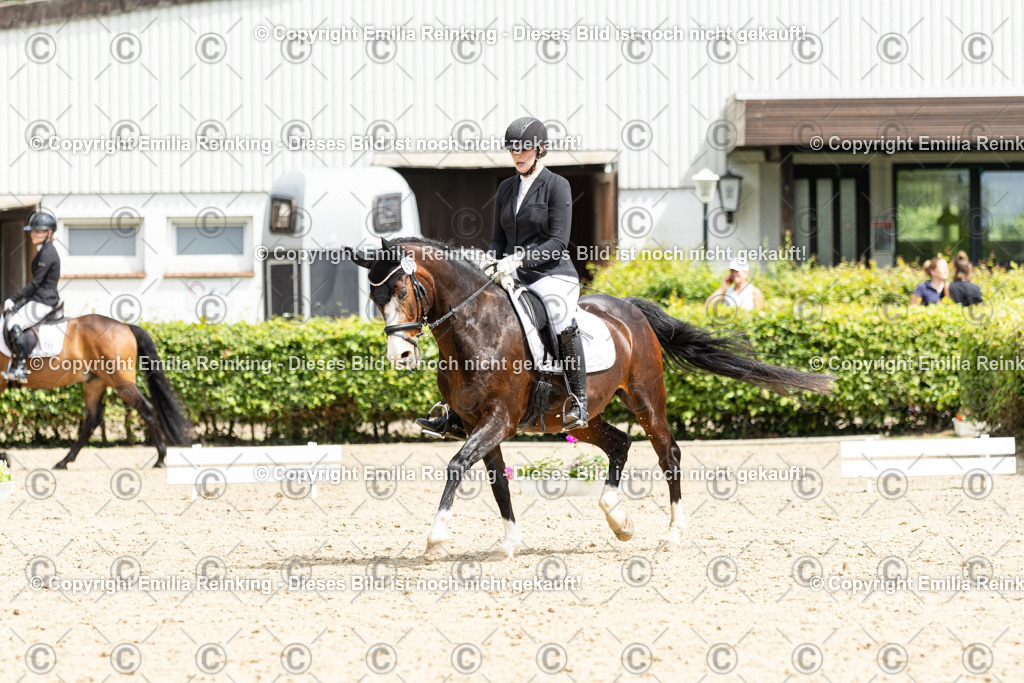 CL5A2531 | Emilia Reinking Fotografie - Realisiert mit Pictrs.com