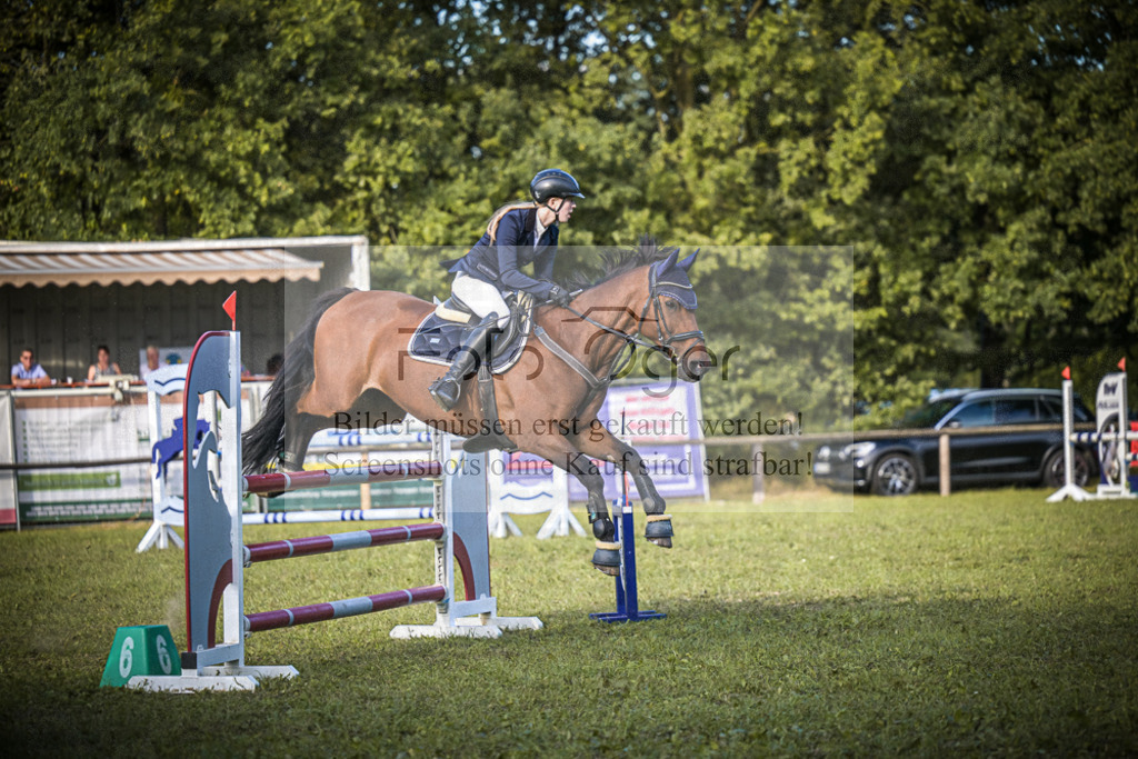 DOS_0228 | Entdecke hochwertige Reitturnierfotos von Foto Oger. Professionell, emotional und authentisch – jetzt Lieblingsmomente im Shop bestellen.Deutschlandweite Turnierfotografie. - Realisiert mit Pictrs.com