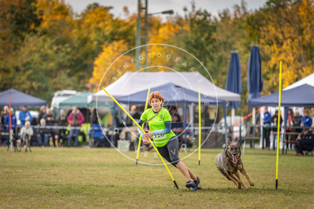 Pfotenfotografie_DV3A6992 | Hundefotografie, Tierfotograf, Pfotenfotografie, Fotoshooting Hund, Hunde Portrait, Hundesport, Hundeportraits, Heideshooting, Hunde, Sportfotograf, Hundefotograf, Turnierhundsport, THS,  - Realisiert mit Pictrs.com