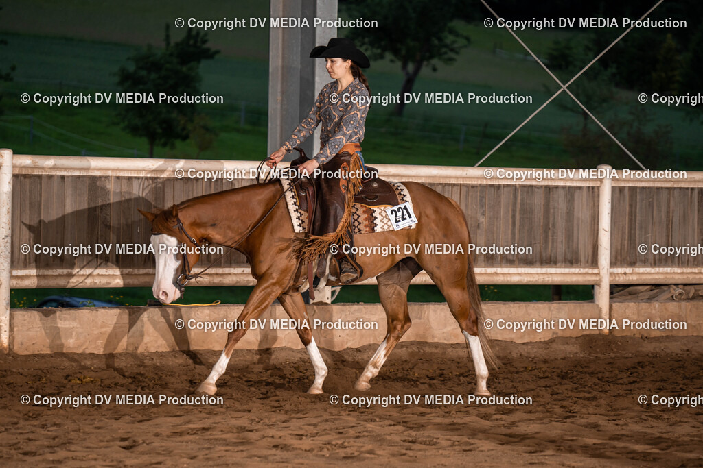 Erbach Tag 1-1168 | dv-media-shop - Realisiert mit Pictrs.com