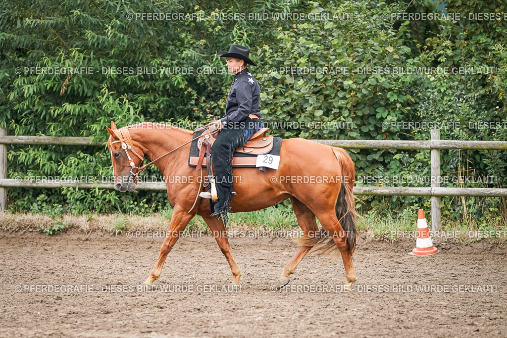 DSC03227 | Pferdegrafie