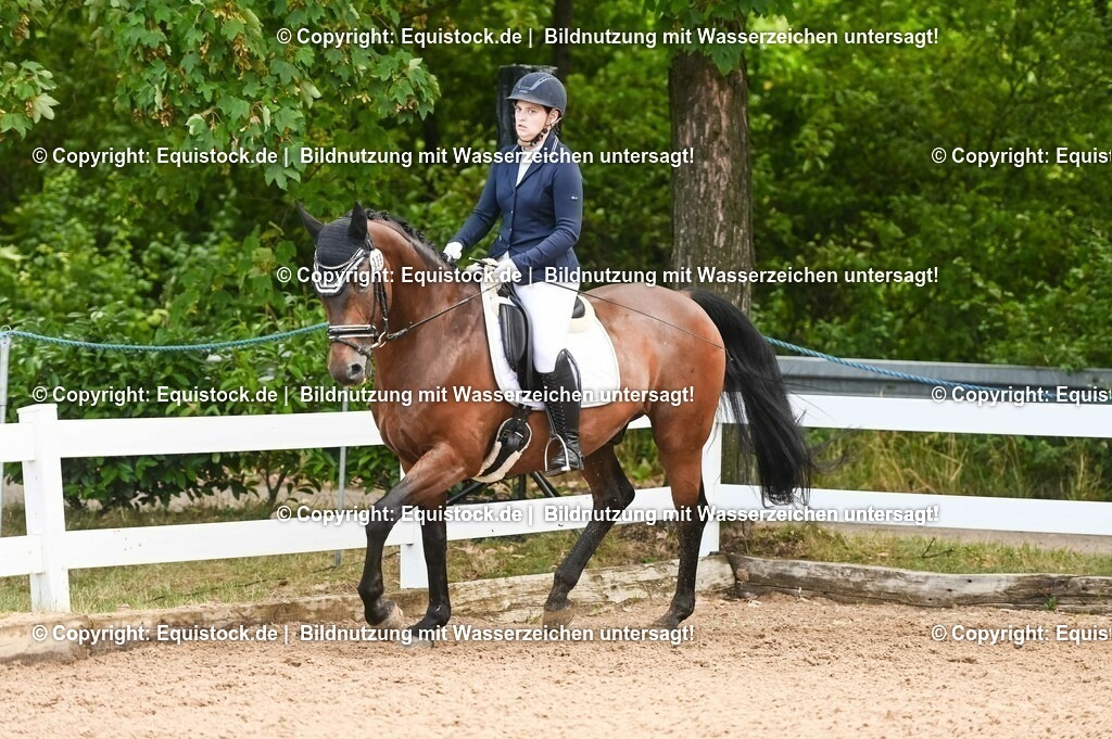 20230716_04_Dressurreiterprüfung Kl.A_0304 | equistock