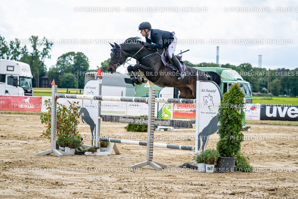 DSC05689 | Pferdegrafie