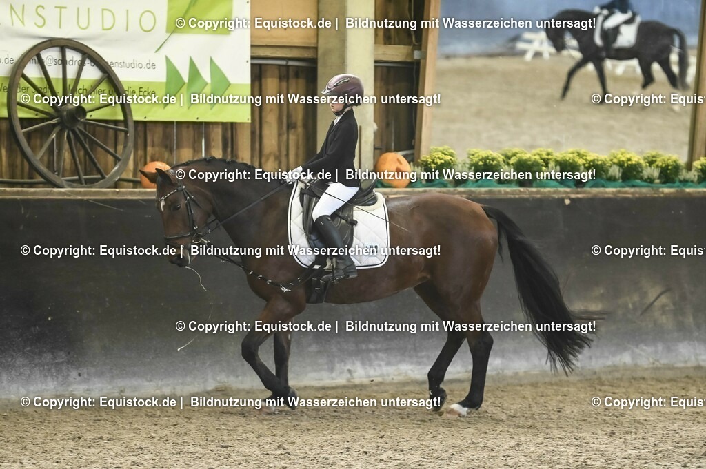 03_Reiter-WB_0264 | Foto: Thomas Hartig