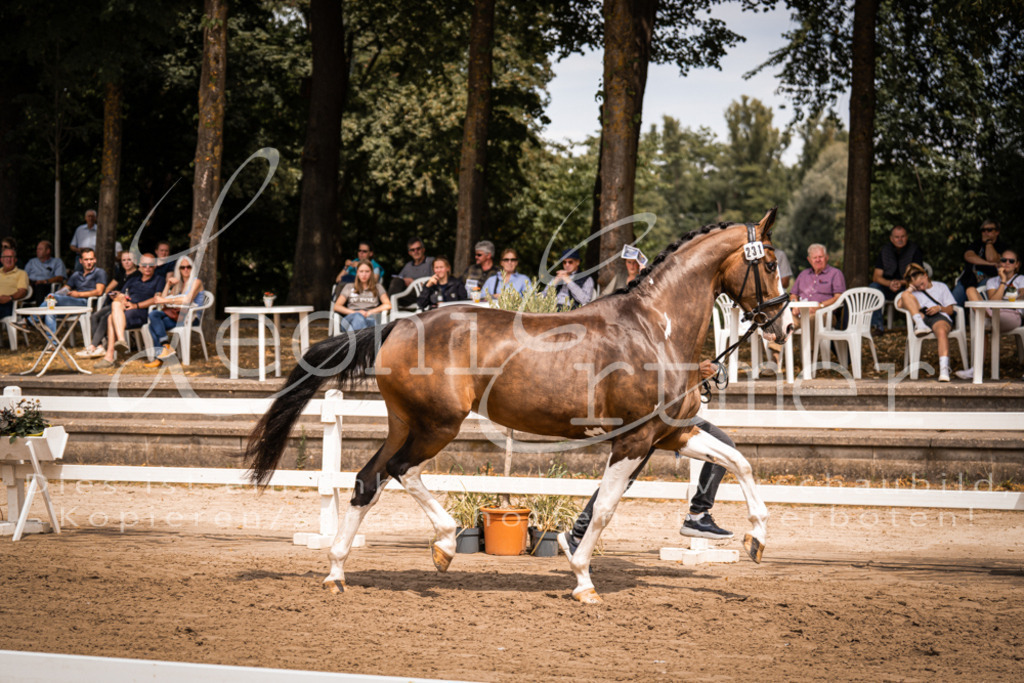 2. Fr00169 | Leoni Ertmer Photography - Realisiert mit Pictrs.com