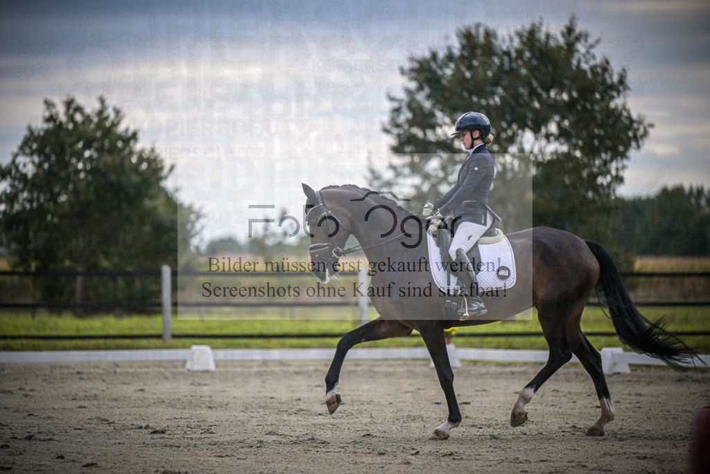 DOS_1305 | Entdecke hochwertige Reitturnierfotos von Foto Oger. Professionell, emotional und authentisch – jetzt Lieblingsmomente im Shop bestellen.Deutschlandweite Turnierfotografie. - Realisiert mit Pictrs.com