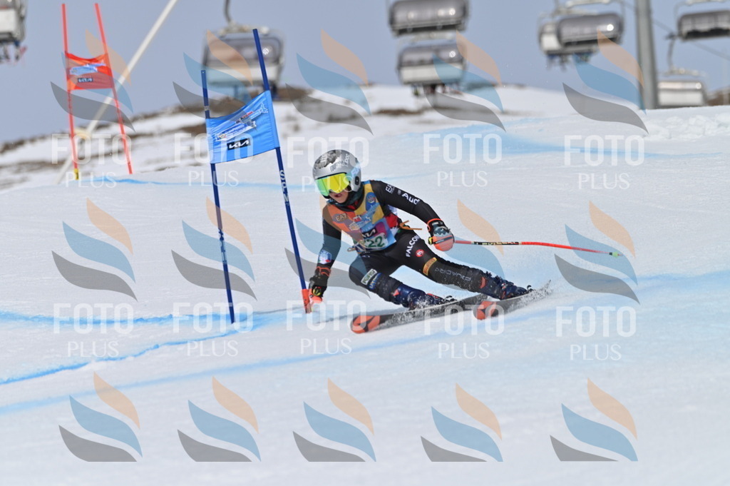 BGV_4356 | holidayphoto