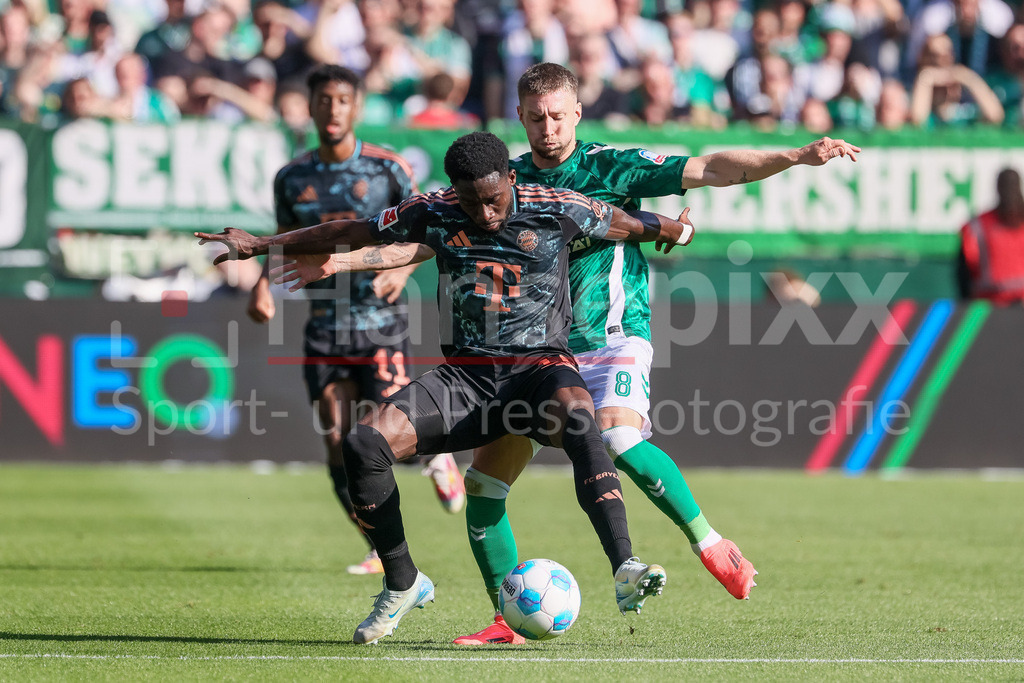 Fussball, Bundesliga, SV Werder Bremen - FC Bayern München | v.li.: Alphonso Davies (FC Bayern München, 19) und Mitchell Weiser (SV Werder Bremen, 8) im Zweikampf, Duell, Dynamik, Aktion, Action, Spielszene, DIE DFL-RICHTLINIEN UNTERSAGEN JEGLICHE NUTZUNG VON FOTOS ALS SEQUENZBILDER UND/ODER VIDEOÄHNLICHE FOTOSTRECKEN. DFL REGULATIONS PROHIBIT ANY USE OF PHOTOGRAPHS AS IMAGE SEQUENCES AND/OR QUASI-VIDEO.