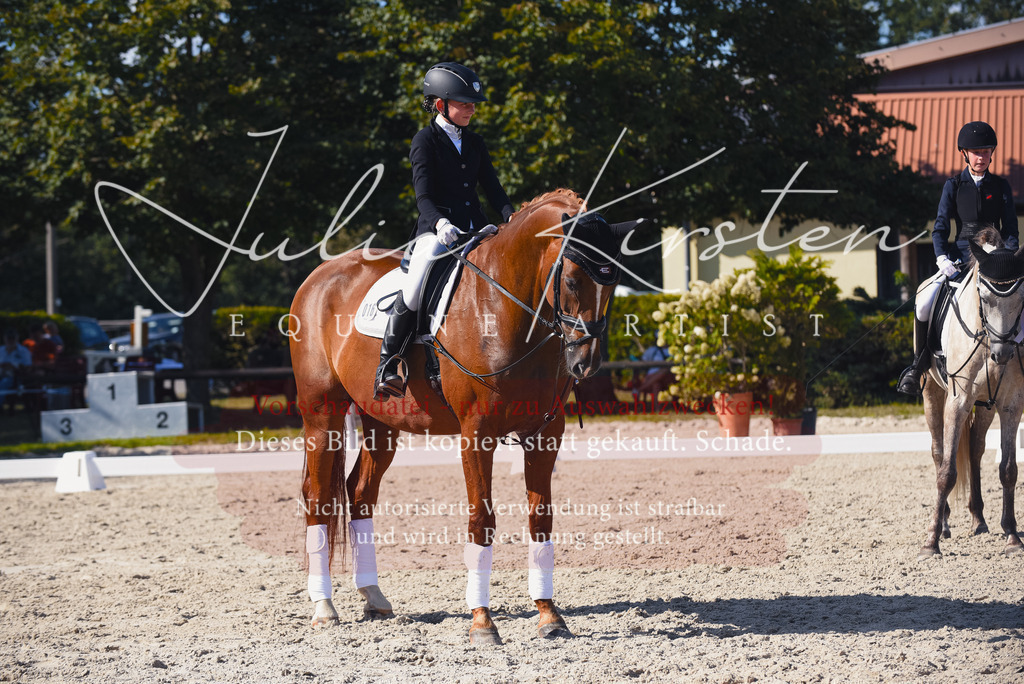 DSC_0192 | Pferde- und Turnierfotografie in Westsachsen. Pferdeportraits, Auftragszeichnungen und intuitive Kunst.