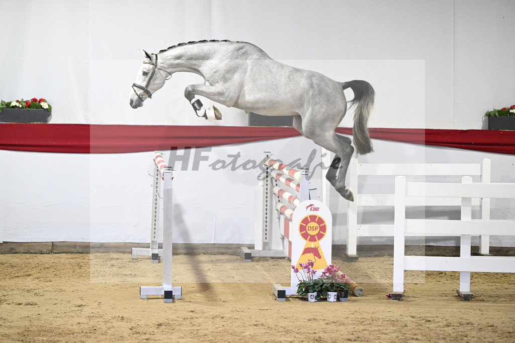 Kat-Nr. 46 v. Clarimo_Hahn u Schleicher_63221142 | hf-fotografie - Realisiert mit Pictrs.com