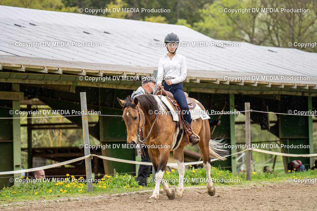 BAL00803 | dv-media-shop - Realisiert mit Pictrs.com