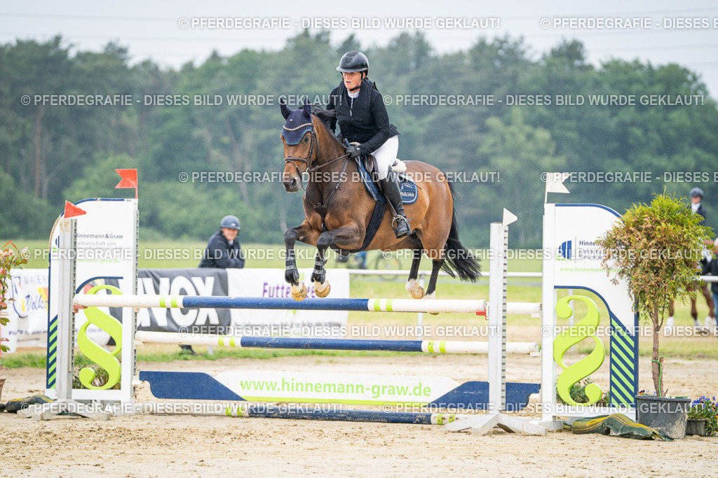 DSC00815 | Pferdegrafie