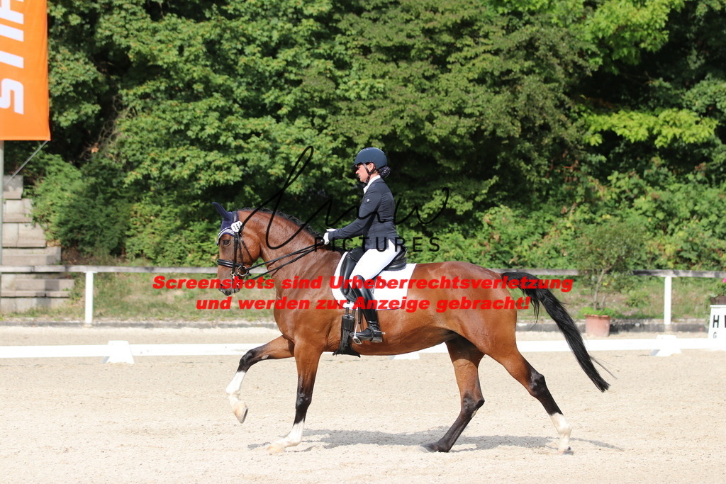 IMG_6545 | lmwpictures - Realisiert mit Pictrs.com