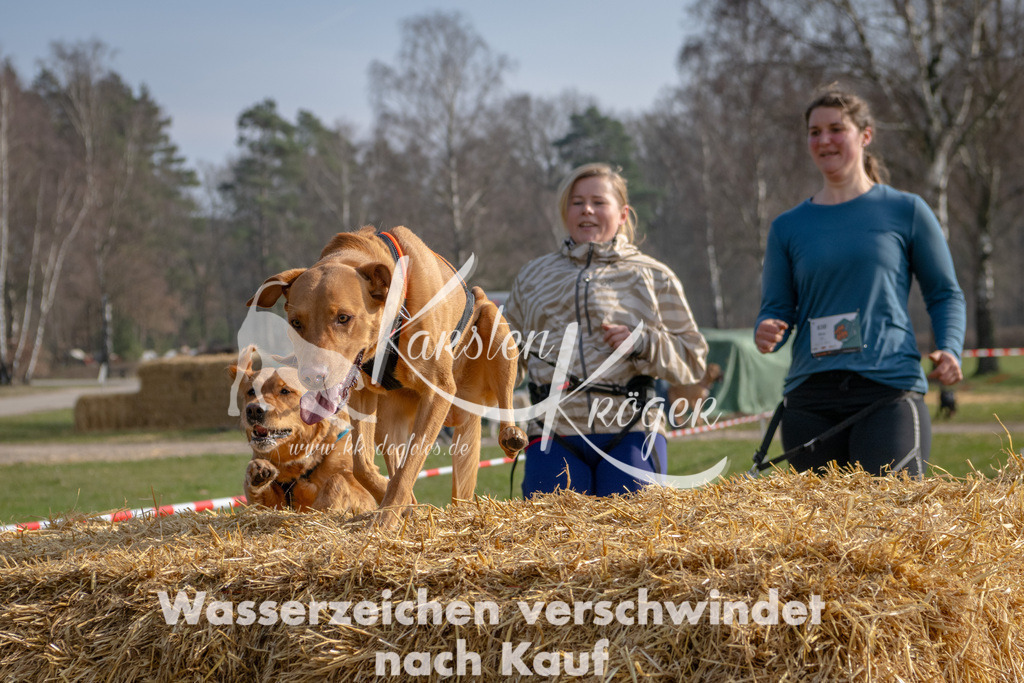_ZZ91459 | kk-dogfotos