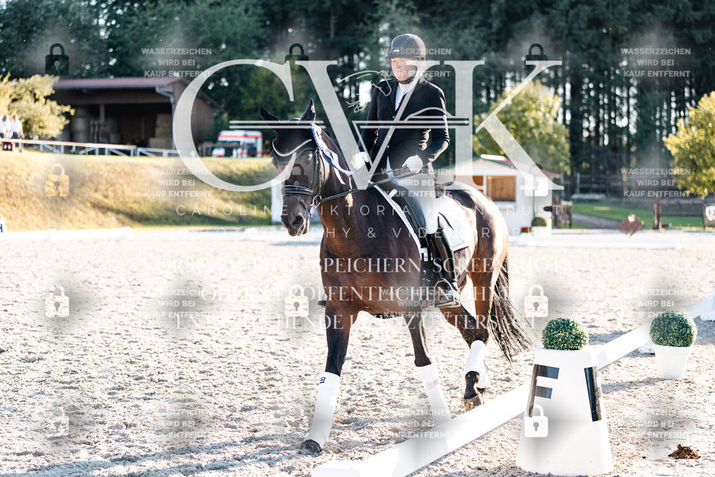 CK907236 | Turnierfotografie Pferdefotografie Trier Rheinland-Pfalz Pferdesport Reitsport Tierfotografie Sportfotografie Pferdevideo Pferdevideografie Equestrianvideography equestrianphotography  - Realisiert mit Pictrs.com