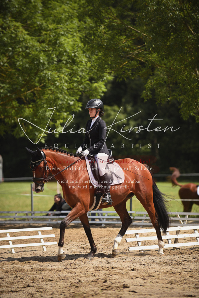 DSC_0905 | Pferde- und Turnierfotografie in Westsachsen. Pferdeportraits, Auftragszeichnungen und intuitive Kunst.