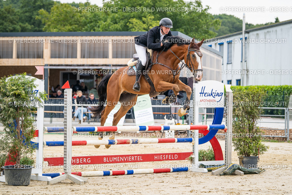 DSC09293 | Pferdegrafie