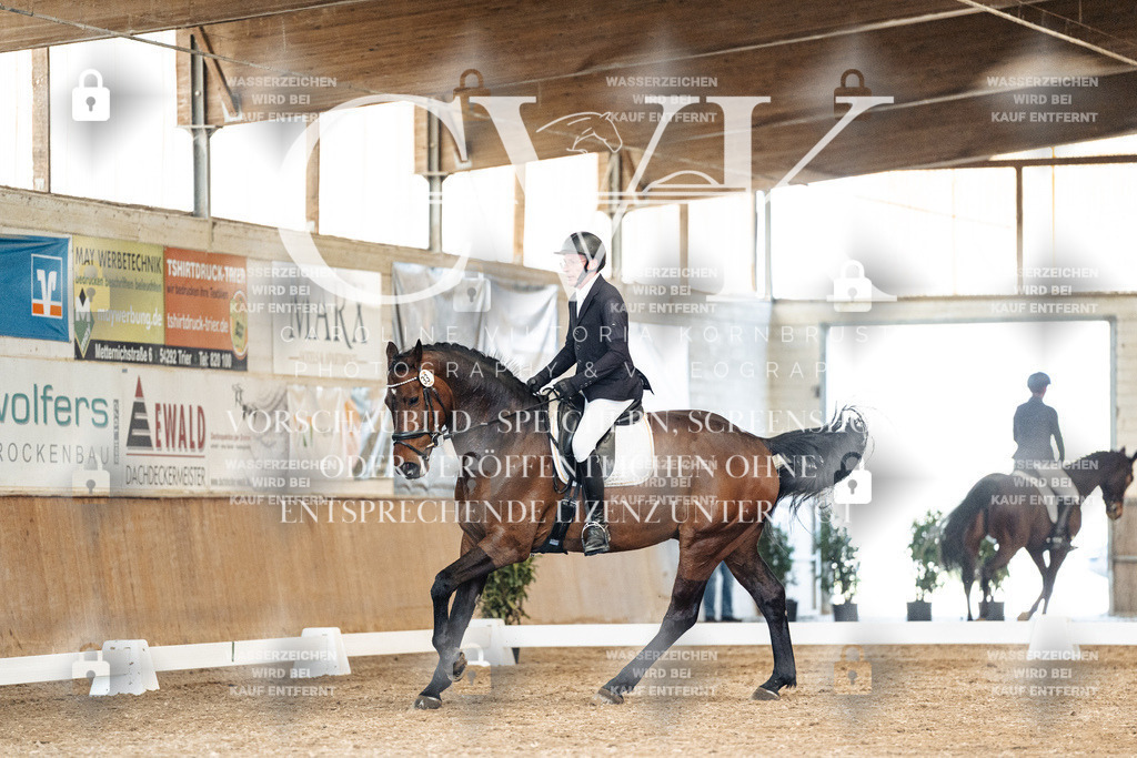 CK901293 | Turnierfotografie Pferdefotografie Trier Rheinland-Pfalz Pferdesport Reitsport Tierfotografie Sportfotografie Pferdevideo Pferdevideografie Equestrianvideography equestrianphotography  - Realisiert mit Pictrs.com
