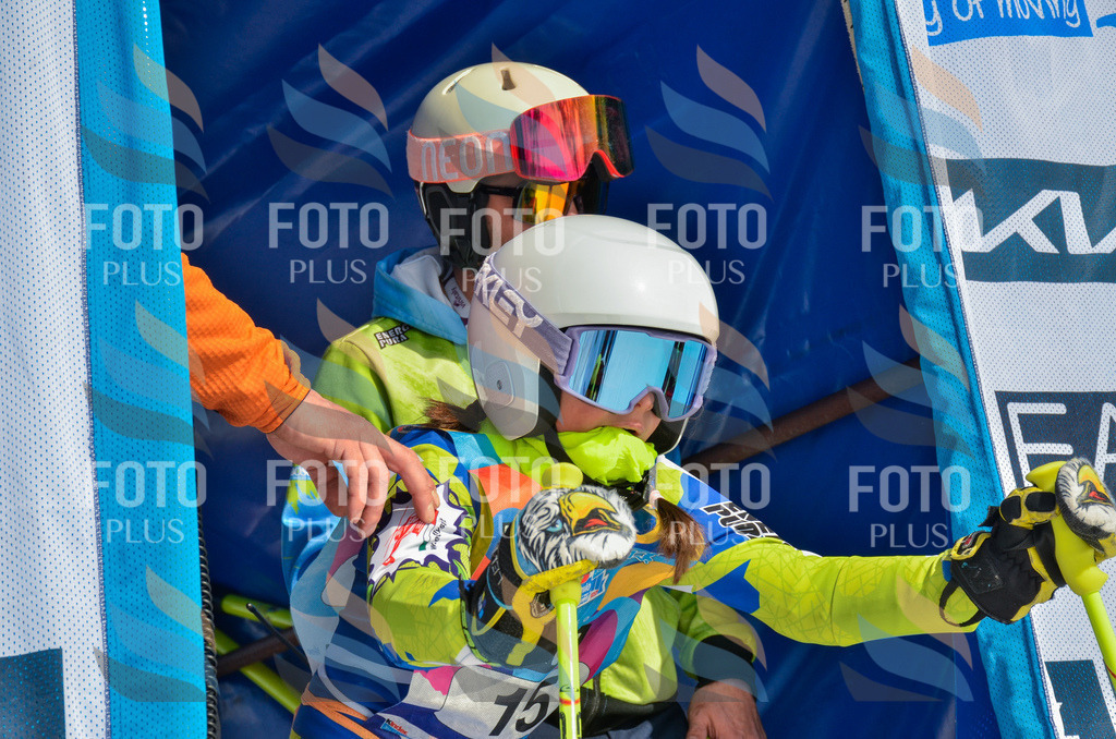 _ELE4643 | holidayphoto