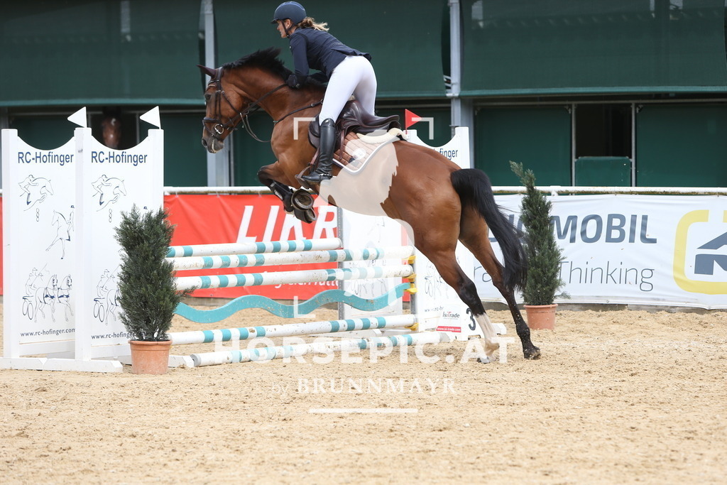 DL2Q1683 | Willkommen bei Brunnmayr - Design & Fotografie – Ihrem Spezialisten für Reitturniere und Pferdeveranstaltungen in Oberösterreich, Salzburg und Bayern! Seit über 17 Jahren sind wir leidenschaftlich dabei.