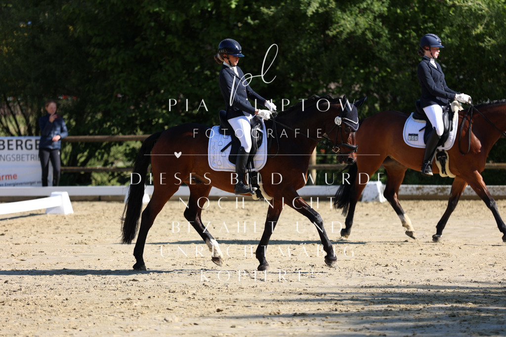 IMGT9568 | pl-fotografie