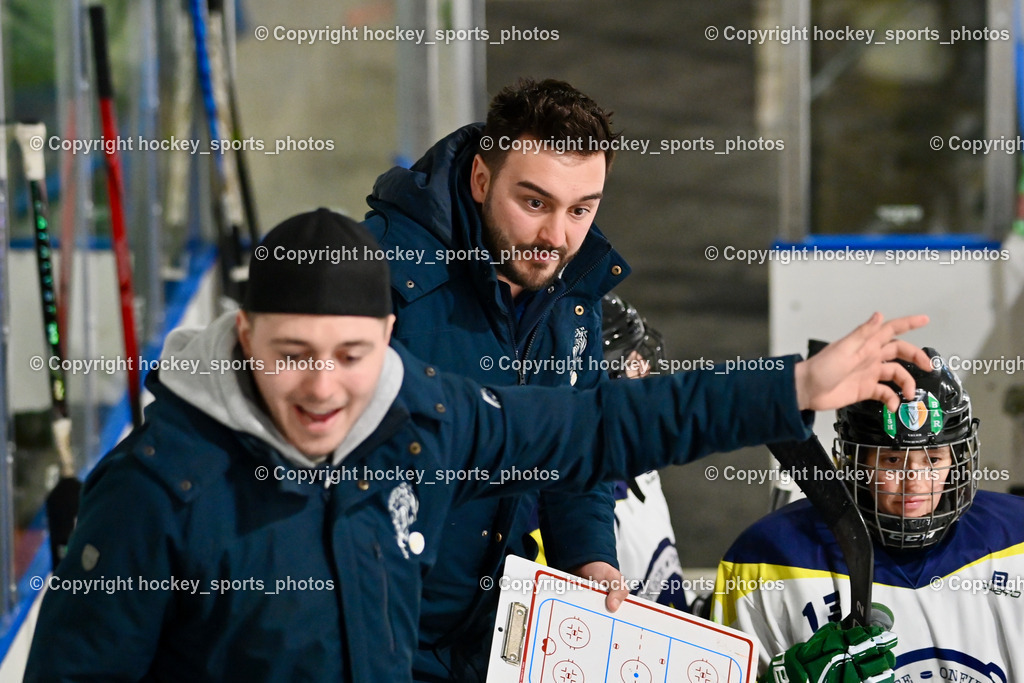 LADY HAWKS vs. WILDCATS PATERNION | Headcoach WILDCATS PATERNION Marcell Ott, LADY HAWKS vs. WILDCATS PATERNION, LADY HAWKS vs. WILDCATS PATERNION am 12.03.2025 in Steindorf (Ossiachersee Halle), Austria, (Photo by Bernd Stefan)