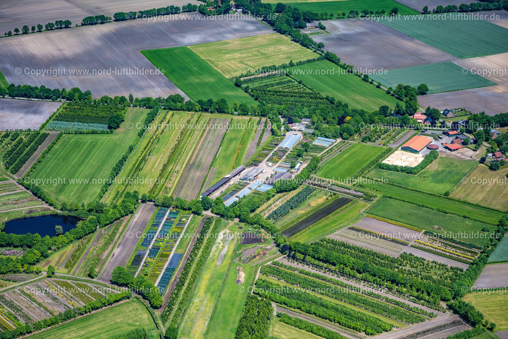 Oldendorf_Tannenhof_Uhlendorf_ELS_8361280523 | OLDENDORF 28.05.2023 Baumreihen auf Feldern " Tannenhof " in Oldendorf im Bundesland Niedersachsen, Deutschland. // Row of trees on fields " Tannenhof " in Oldendorf in the state Lower Saxony, Germany. Foto: Martin Elsen