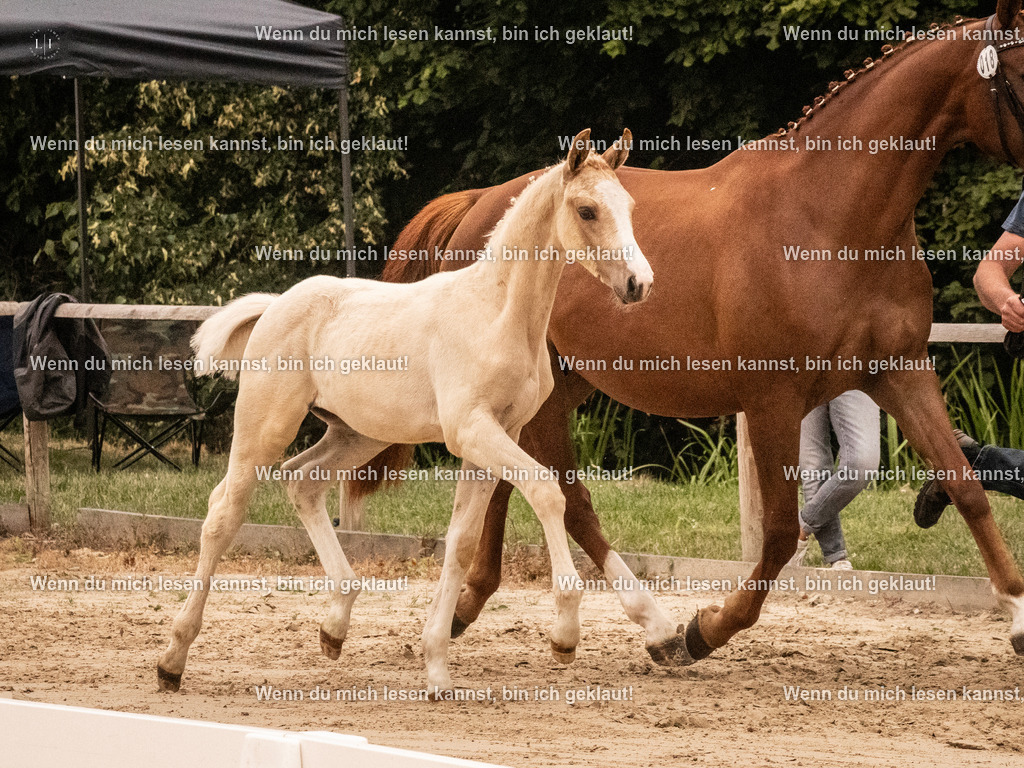 A10I1029 | photographylinaismer - Realisiert mit Pictrs.com