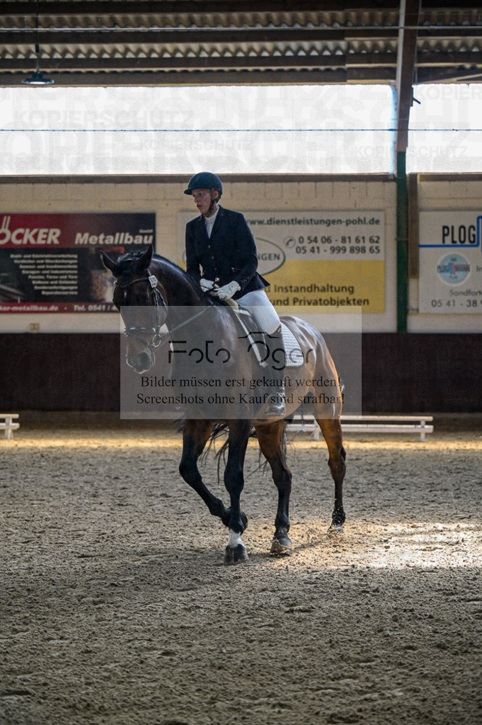 Reitturnier Voxtrup | Entdecke hochwertige Reitturnierfotos von Foto Oger. Professionell, emotional und authentisch – jetzt Lieblingsmomente im Shop bestellen.Deutschlandweite Turnierfotografie. - Realisiert mit Pictrs.com