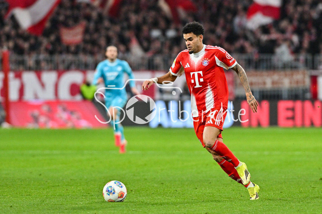 FC Bayern München - TSG 1899 Hoffenheim | MUNICH, GERMANY - 08. FEBRUARY: im Bild Luis DIAZ (FC Bayern Munich 14) / Einzelfoto / Freisteller während dem Bundesligamatch zwischen dem FC Bayern München und der TSG 1899 Hoffenheim am 21. Spieltag in der Allianz Arena / DFL REGULATIONS PROHIBIT ANY USE OF PHOTOGRAPHS AS IMAGE SEQUENCES AND/OR QUASI-VIDEO