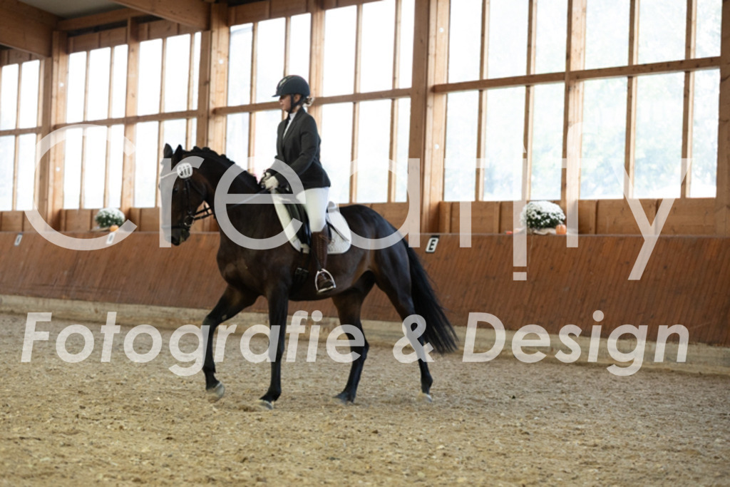 IMG_5701 | Creatify Fotografie