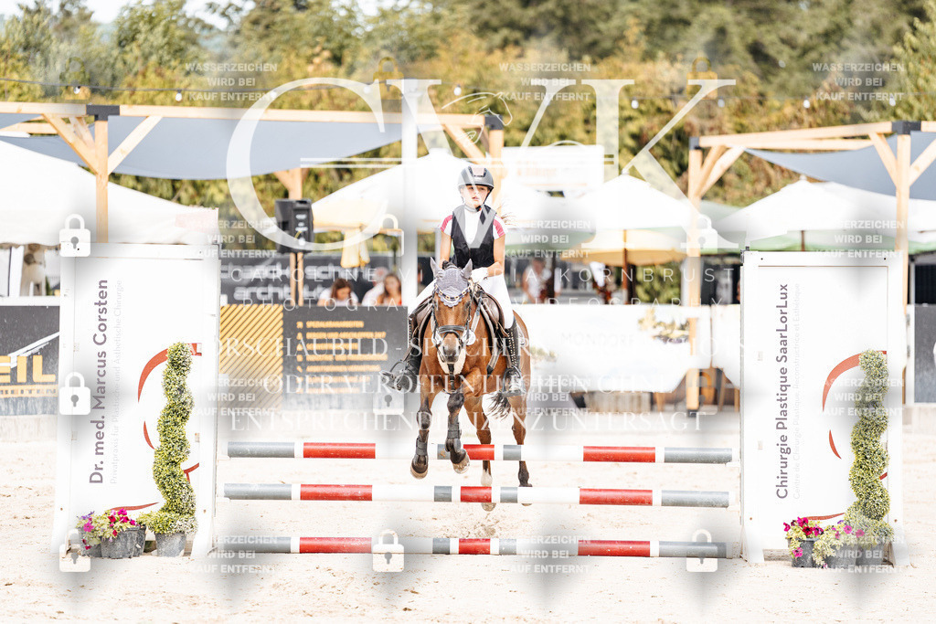 CK906425 | Turnierfotografie Pferdefotografie Trier Rheinland-Pfalz Pferdesport Reitsport Tierfotografie Sportfotografie Pferdevideo Pferdevideografie Equestrianvideography equestrianphotography  - Realisiert mit Pictrs.com