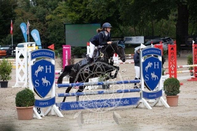 2B4A2337 | pixelfaenger - Realisiert mit Pictrs.com