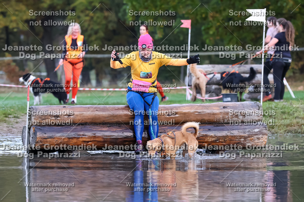 Dog Paparazzi - Strongdog 10-25-6453 | Dog Paparazzi Jeanette Grottendiek Fotografie & Videografie - Realisiert mit Pictrs.com