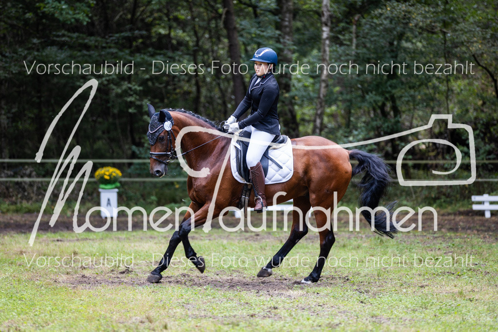 HB-Dressur-WB-033 | MomenTaufnahmen Pferdesportfotos